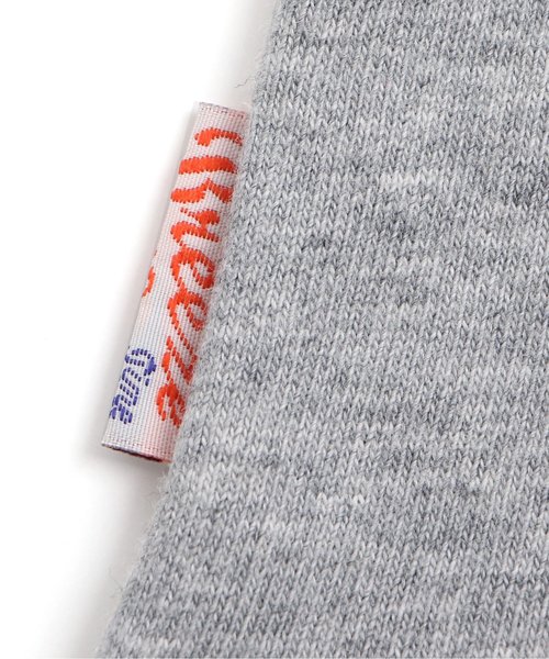 BREEZE（ブリーズ）の「ChampionサガラワッペンTシャツ（Tシャツ/カットソー・キッズ・オフホワイト/グレー・140/80/110/130/100/120/90）」の11枚目の写真