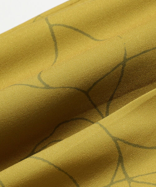 Ray BEAMS（レイビームス）の「Ray BEAMS / ライン プリント パンツ（その他パンツ・レディース・ダークブラウン/イエロー・0/1）」の18枚目の写真