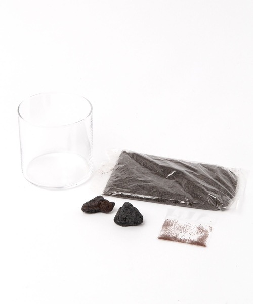 LAKOLE（ラコレ）の「育てるグリーン[水草] / 182605（インテリア雑貨・レディース・その他・FREE）」の7枚目の写真