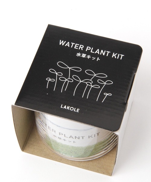 LAKOLE（ラコレ）の「育てるグリーン[水草] / 182605（インテリア雑貨・レディース・その他・FREE）」の8枚目の写真