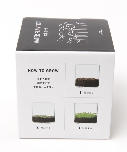 LAKOLE（ラコレ）の「育てるグリーン[水草] / 182605（インテリア雑貨・レディース・その他・FREE）」の5枚目の写真