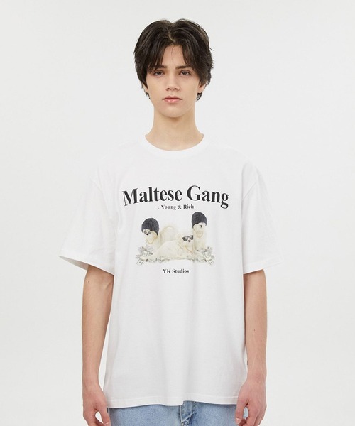 WaiKei（ワイケイ）の「【UNISEX】Wai Kei／ワイケイ MalteseGang T / マルチーズ ギャング 半袖Tシャツ 2907769（Tシャツ/カットソー・レディース・ホワイト/グリーン/ネイビー・X-LARGE/LARGE/MEDIUM）」の8枚目の写真