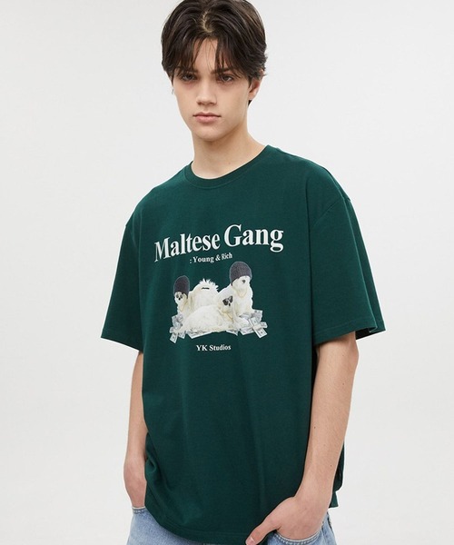 WaiKei（ワイケイ）の「【UNISEX】Wai Kei／ワイケイ MalteseGang T / マルチーズ ギャング 半袖Tシャツ 2907769（Tシャツ/カットソー・レディース・ホワイト/グリーン/ネイビー・X-LARGE/LARGE/MEDIUM）」の5枚目の写真