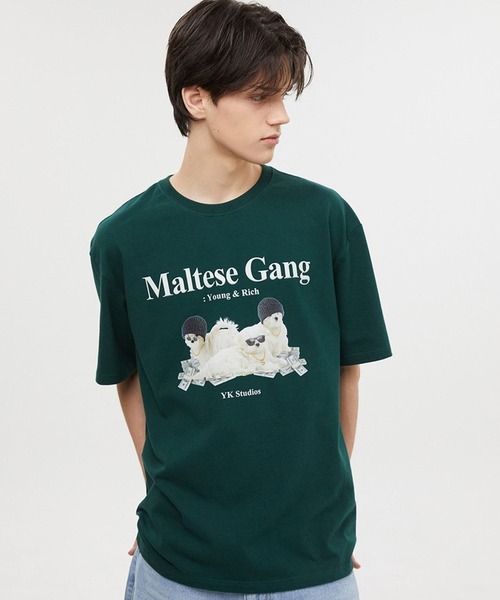 WaiKei（ワイケイ）の「【UNISEX】Wai Kei／ワイケイ MalteseGang T / マルチーズ ギャング 半袖Tシャツ 2907769（Tシャツ/カットソー・レディース・ホワイト/グリーン/ネイビー・X-LARGE/LARGE/MEDIUM）」の12枚目の写真