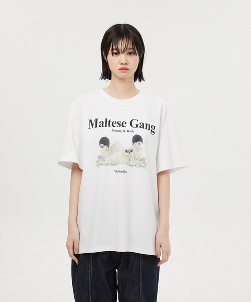 WaiKei（ワイケイ）の「【UNISEX】Wai Kei／ワイケイ MalteseGang T / マルチーズ ギャング 半袖Tシャツ 2907769（Tシャツ/カットソー・レディース・ホワイト/グリーン/ネイビー・X-LARGE/LARGE/MEDIUM）」の4枚目の写真