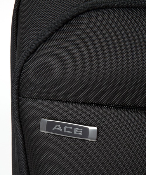 ACE/エース テセウス キャリーケース 機内持込サイズ 31リットル ソフトタイプ 2～3泊 35121