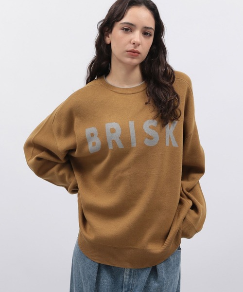 LAKOLE（ラコレ）の「12ゲージラクリルWJQプルオーバー / 116718（ニット/セーター・レディース・グレー/ブルー/アイボリー/ブラウン・FREE）」の2枚目の写真