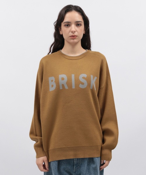 LAKOLE（ラコレ）の「12ゲージラクリルWJQプルオーバー / 116718（ニット/セーター・レディース・グレー/ブルー/アイボリー/ブラウン・FREE）」の16枚目の写真