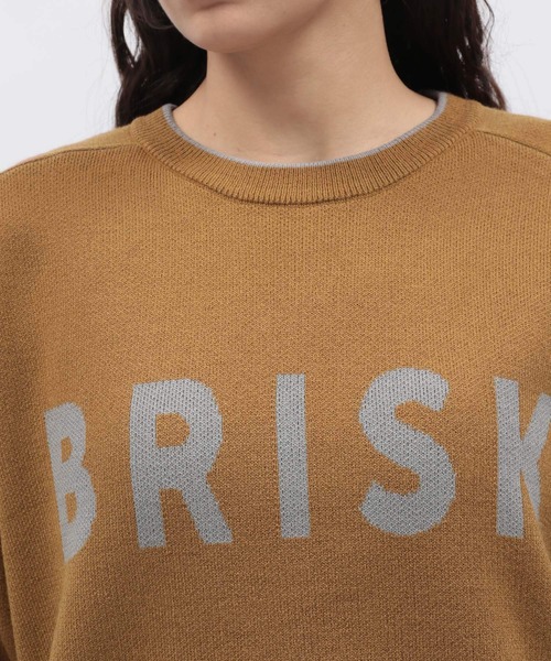 LAKOLE（ラコレ）の「12ゲージラクリルWJQプルオーバー / 116718（ニット/セーター・レディース・グレー/ブルー/アイボリー/ブラウン・FREE）」の19枚目の写真