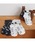 Homie�i�z�~�[�j�́u�y Homie / �z�~�[ �zCOTTON MB CAT SOCKS / �R�b�g�� MB �L���b�g �\�b�N�X�@DLI�i�\�b�N�X/�C���j�v�b�`���R�[��