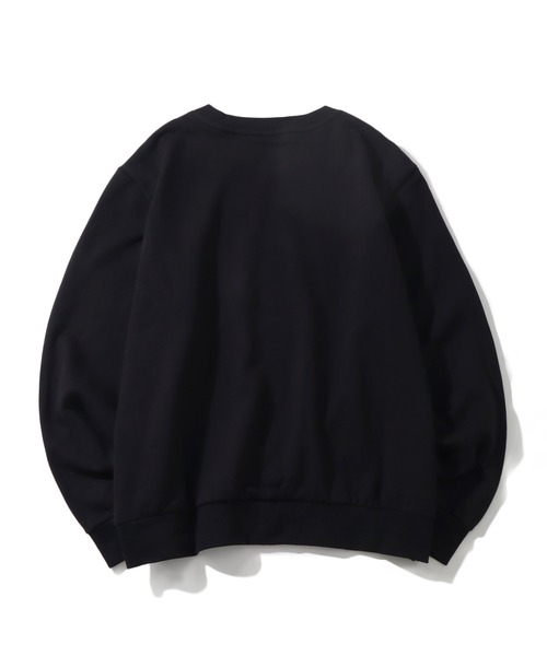 THE NORTH FACE(ザノースフェイス)の「【THE NORTH FACE/ザノースフェイス】Evolution Simple Dome Crew / クルーネック スウェット トレーナー(スウェット・メンズ・ブラック/グレー/オフホワイト・L/XL/M)」の10枚目の写真