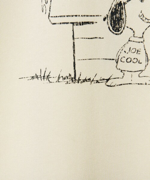 6（ロク）の「【別注】＜Healthknit for 6＞SNOOPY フットボール Tシャツ（Tシャツ/カットソー・レディース・オフホワイト/ライトブルー・S/M）」の14枚目の写真