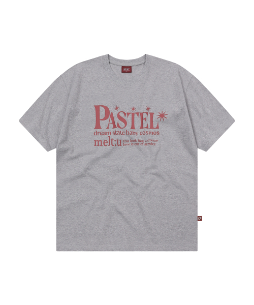 S'EST(エスイーエスティー)の「パステルTシャツ グレー(Tシャツ/カットソー・レディース・ダークグレー・SMALL/MEDIUM/LARGE)」の1枚目の写真