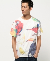 *ビッグペイントTee