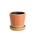 DULTONi_gj́uCOLOR GLAZED POT/4 Aؔit[x[XjvbIW