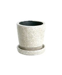 DULTON(�_���g��)��COLOR GLAZED POT/4�� �A�ؔ�(�t�����[�x�[�X)