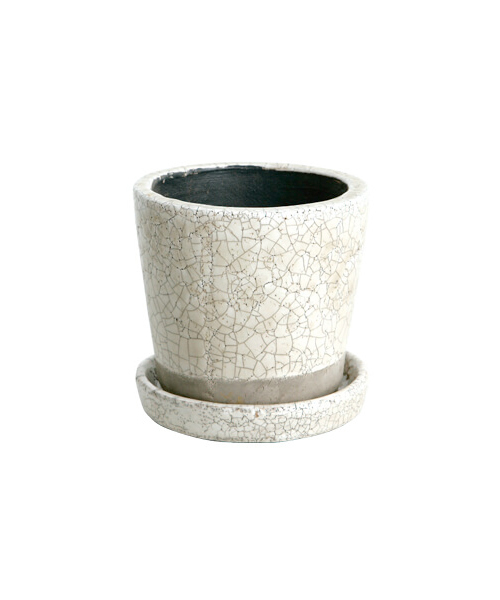 DULTON（ダルトン）の「COLOR GLAZED POT/4号 植木鉢（フラワーベース・メンズ・ターコイズブルー/ライム/イエロー/オレンジ/ブルー/アイボリー/グレー系その他/グリーン系その他/ライトパープル/バイオレット・FREE）」の2枚目の写真