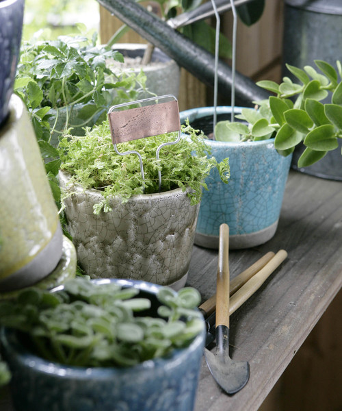 DULTON（ダルトン）の「COLOR GLAZED POT/4号 植木鉢（フラワーベース・メンズ・ターコイズブルー/ライム/イエロー/オレンジ/ブルー/アイボリー/グレー系その他/グリーン系その他/ライトパープル/バイオレット・FREE）」の12枚目の写真