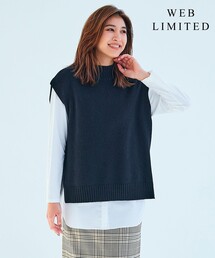 【WEB限定カラーあり・洗える】AZALEA ニットベスト