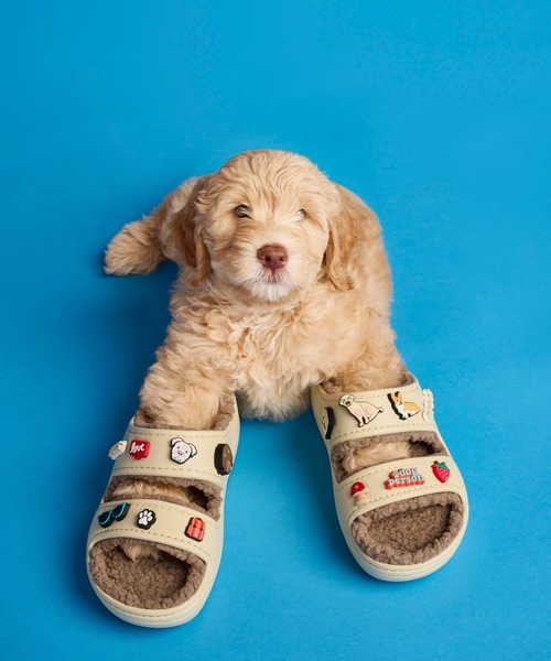 crocs（クロックス）の「クロックス クラシック コージー サンダル サンダル / crocs Classic Cozzzy Sandal（サンダル・レディース・ホワイト/アイボリー/ボルドー/ブラック×ブラック/バイオレット/イエロー系その他/アクア/パープル/ブルー・22cm/23cm/24cm/25cm/26cm/27cm/28cm/29cm/21cm）」の3枚目の写真