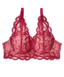 ピーチ・ジョン☆廃盤REDストライプブラ32B Tバック　Scolor RED ピーチ・ジョン☆廃盤REDストライプブラ32B Tバック Scolor RED