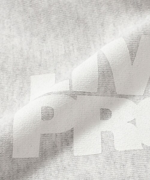 BEAMS T(ビームスティー)の「Living Proof Magazine / LOGO HOODIE(スウェット・メンズ・ブラック/ライトグレー・XL/M/L)」の9枚目の写真