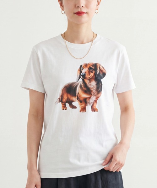 INNOCENT（イノセント）の「【T24】DOG PRINT TEE SS-2000HTD（Tシャツ/カットソー・レディース・その他6/その他4/その他5/その他2/その他3/その他1・LARGE/SMALL/MEDIUM/X-LARGE）」の2枚目の写真