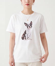 【T24】DOG PRINT TEE SS-2000HTD
