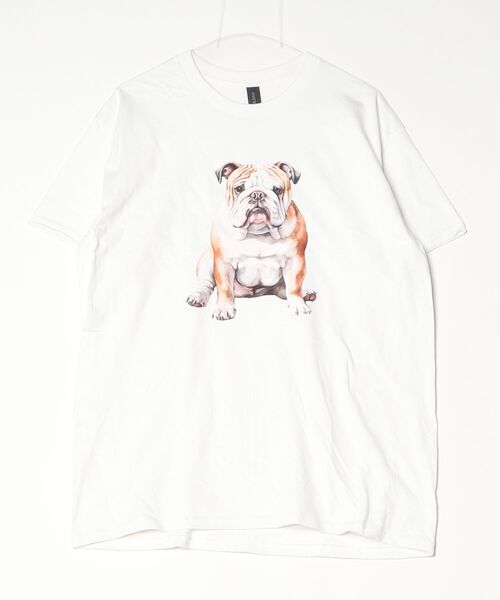INNOCENT（イノセント）の「【T24】DOG PRINT TEE SS-2000HTD（Tシャツ/カットソー・レディース・その他6/その他4/その他5/その他2/その他3/その他1・LARGE/SMALL/MEDIUM/X-LARGE）」の8枚目の写真