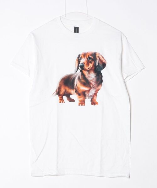 INNOCENT（イノセント）の「【T24】DOG PRINT TEE SS-2000HTD（Tシャツ/カットソー・レディース・その他6/その他4/その他5/その他2/その他3/その他1・LARGE/SMALL/MEDIUM/X-LARGE）」の9枚目の写真