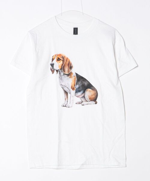INNOCENT（イノセント）の「【T24】DOG PRINT TEE SS-2000HTD（Tシャツ/カットソー・レディース・その他6/その他4/その他5/その他2/その他3/その他1・LARGE/SMALL/MEDIUM/X-LARGE）」の10枚目の写真
