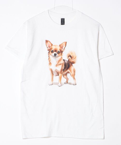 INNOCENT（イノセント）の「【T24】DOG PRINT TEE SS-2000HTD（Tシャツ/カットソー・レディース・その他6/その他4/その他5/その他2/その他3/その他1・LARGE/SMALL/MEDIUM/X-LARGE）」の11枚目の写真