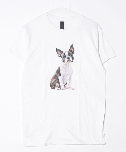 INNOCENT（イノセント）の「【T24】DOG PRINT TEE SS-2000HTD（Tシャツ/カットソー・レディース・その他6/その他4/その他5/その他2/その他3/その他1・LARGE/SMALL/MEDIUM/X-LARGE）」の13枚目の写真