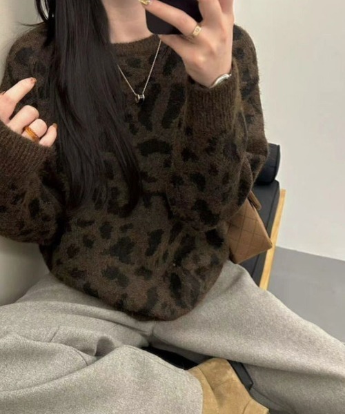 AVYL(アヴィル)の「ビッグレオパード柄 シャギーニットプルオーバー(ニット/セーター・レディース・グレー/ブラウン・M)」の1枚目の写真