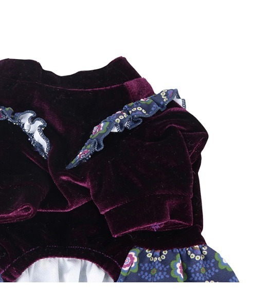 アナスイ　ANNA SUI ベロア　ワンピース ANNA SUI（アナスイ）の「ANNA SUI/アナ スイ/ボヘミアンベロア