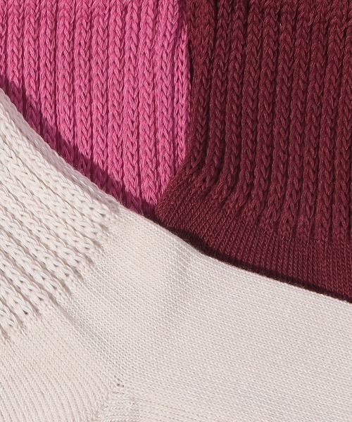 FRUIT OF THE LOOM（フルーツオブザルーム）の「【FRUIT OF THE LOOM】Q カラフル 3P A/クォーター丈ソックス/レディース/3足セット/フルーツオブザルーム（ソックス/靴下・レディース・マルチ・23cm～25cm）」の3枚目の写真