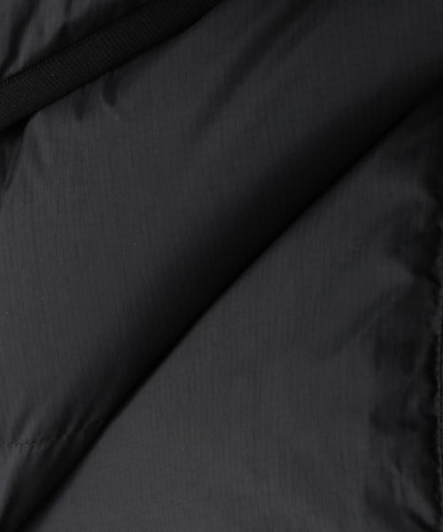 DAIWA PIER39（ダイワピア39）の「DAIWA PIER 39 TECH ALPINE DOWN VEST BW-24024W：ダウンベスト（ダウンベスト・レディース・ブラック・MEDIUM）」の22枚目の写真