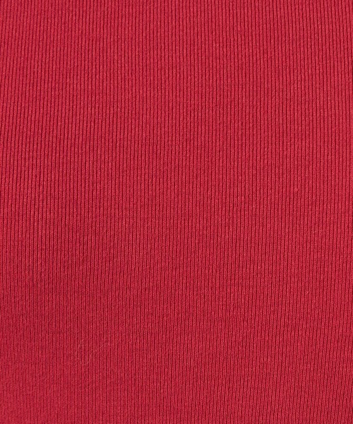 gicipi（ジチピ）の「＜gicipi＞PREZZEMO タートルネック プルオーバー（Tシャツ/カットソー・レディース・グレー/レッド/ブラック・2）」の11枚目の写真