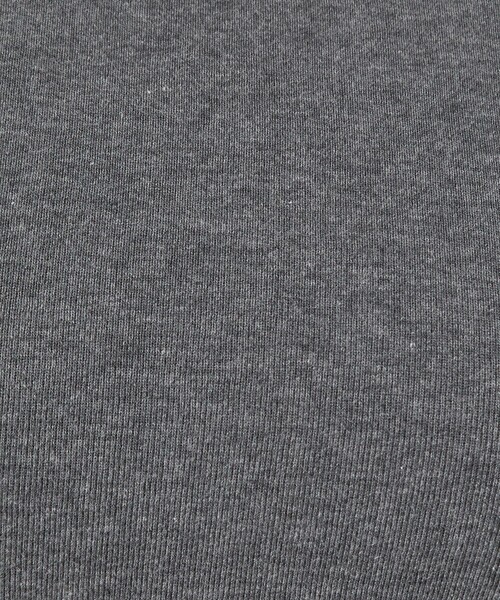 gicipi（ジチピ）の「＜gicipi＞PREZZEMO タートルネック プルオーバー（Tシャツ/カットソー・レディース・グレー/レッド/ブラック・2）」の13枚目の写真