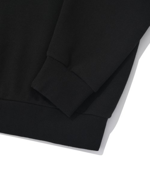 Retriever Club（レトリーバークラブ）の「GRAFFITI RRC CREWNECK [BLACK]（スウェット・レディース・その他・SMALL/MEDIUM/LARGE/X-LARGE）」の5枚目の写真