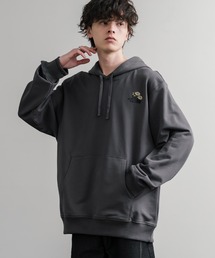 THE NORTH FACE ザ・ノースフェイス RAGLAN REDBOX HOODIE オーバー