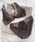 Dolce Fiora�i�h���`�F�t�B�I���j�́u�I�ׂ�f�U�C���u���V���[�c�i�u��&�V���[�c�j�v�b�O���[�n���̑�