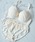Dolce Fiora�i�h���`�F�t�B�I���j�́u�I�ׂ�f�U�C���u���V���[�c�i�u��&�V���[�c�j�v�b�A�C�{���[