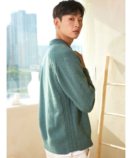 AYIHOLIC CASHMERE(アイホリックカシミア)の「ハーフジップポロニット メランジグリーン #5COLOR(ニット/セーター・レディース・その他・M/L)」の2枚目の写真
