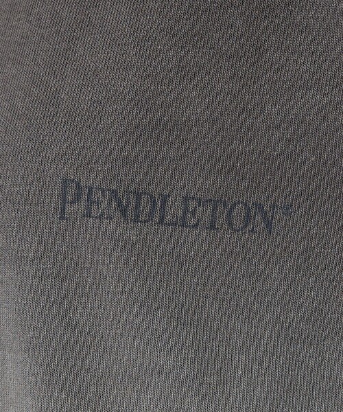 PENDLETON(ペンドルトン)の「【PENDLETON / ペンドルトン】Gradation dye /グラデーションロングスリーブTシャツ/ユニセックス(Tシャツ/カットソー・メンズ・オレンジ系その他/グレー系その他/ブルー系その他・M/L)」の16枚目の写真