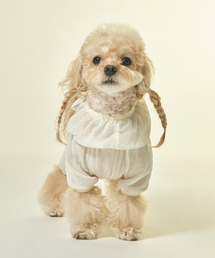 Bailey（ベイリー）の「子犬 夏 虫 ダニ防止 クーリング バーグガード メッシュ オールインワン アイボリー（ペットウェア）」