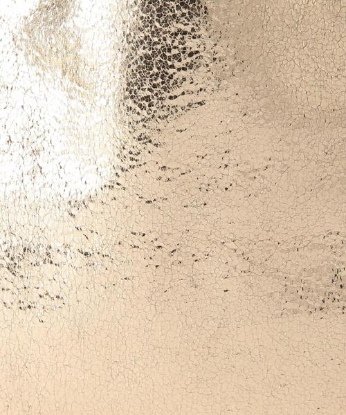 Another Edition(アナザーエディション)の「メタリックバッグ(トートバッグ・レディース・シルバー/ゴールド・フリー)」の8枚目の写真