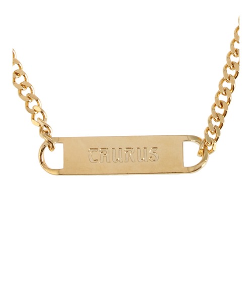 PAMEO POSE(パメオポーズ)の「Taurus Plate Choker(ネックレス・レディース・シルバー/ゴールド・FREE)」の1枚目の写真