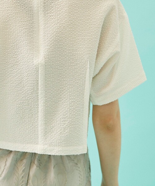 INella（イネラ）の「【INella/イネラ】シアサッカークロップドトップス（Tシャツ/カットソー・レディース・ブラック/その他2/ホワイト・FREE）」の11枚目の写真