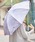 ��� IWAKURA�i�C���N���j�́u�y����z���D�J����P�i���P�j�v�b���̑�2